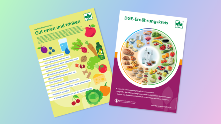 Die Infoblätter „Die DGE-Empfehlungen“ und  „DGE-Ernährungskreis“