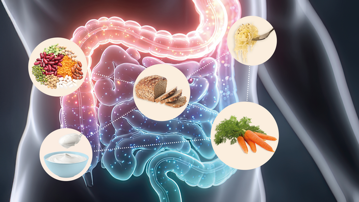 Visualisierter Darm im Körper und Lebensmittel, die das Mikrobiom beeinflussen.
