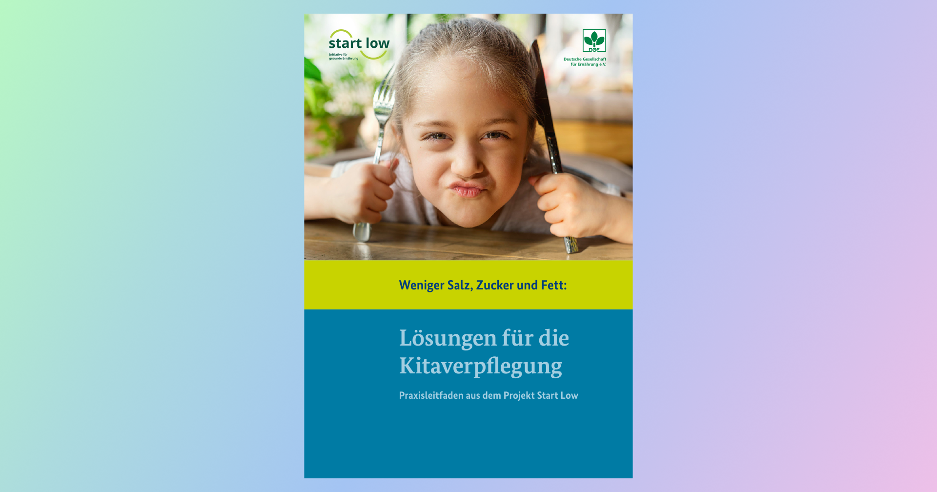 Weniger Salz, Fett und Zucker in der Kitaverpflegung! DGE