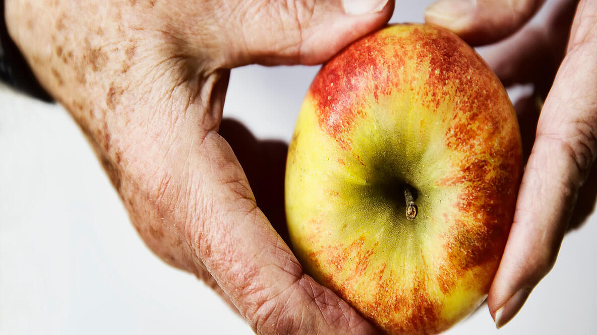 ein älterer Mensch hält einen Apfel mit zwei Händen