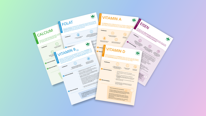 Die Factsheets zu Calcium, Vitamin B12, Folat, Vitamin A, Vitamin D und Essen liegen aufgefächert über- und nebeneienander 