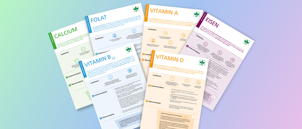 Die Factsheets zu Calcium, Vitamin B12, Folat, Vitamin A, Vitamin D und Essen liegen aufgefächert über- und nebeneienander 