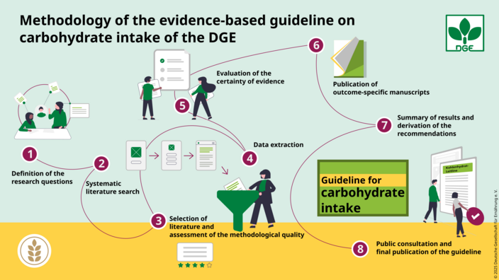 The figure describes the methodology used to develop the DGE guideline on carbohydrate intake